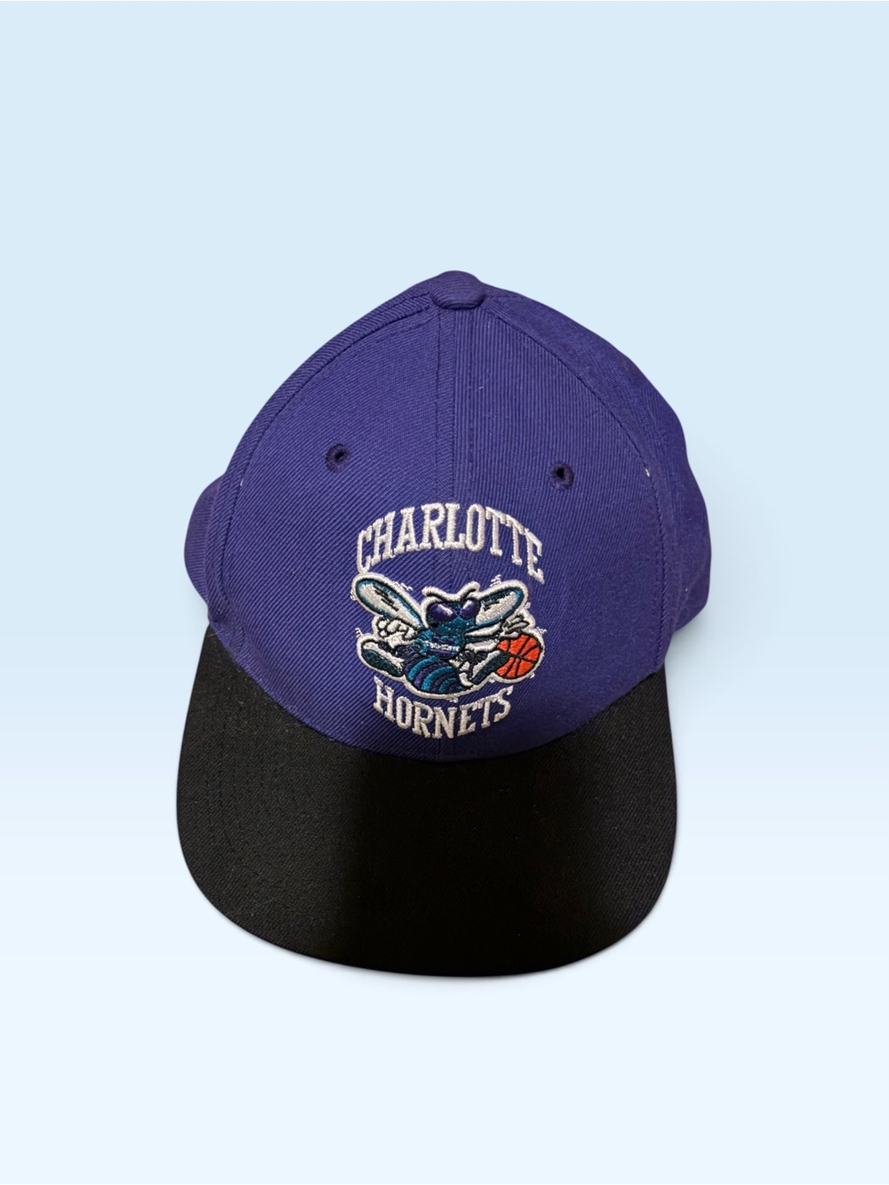 NBA Charlotte Hornets Purple and Black Snapback Hat